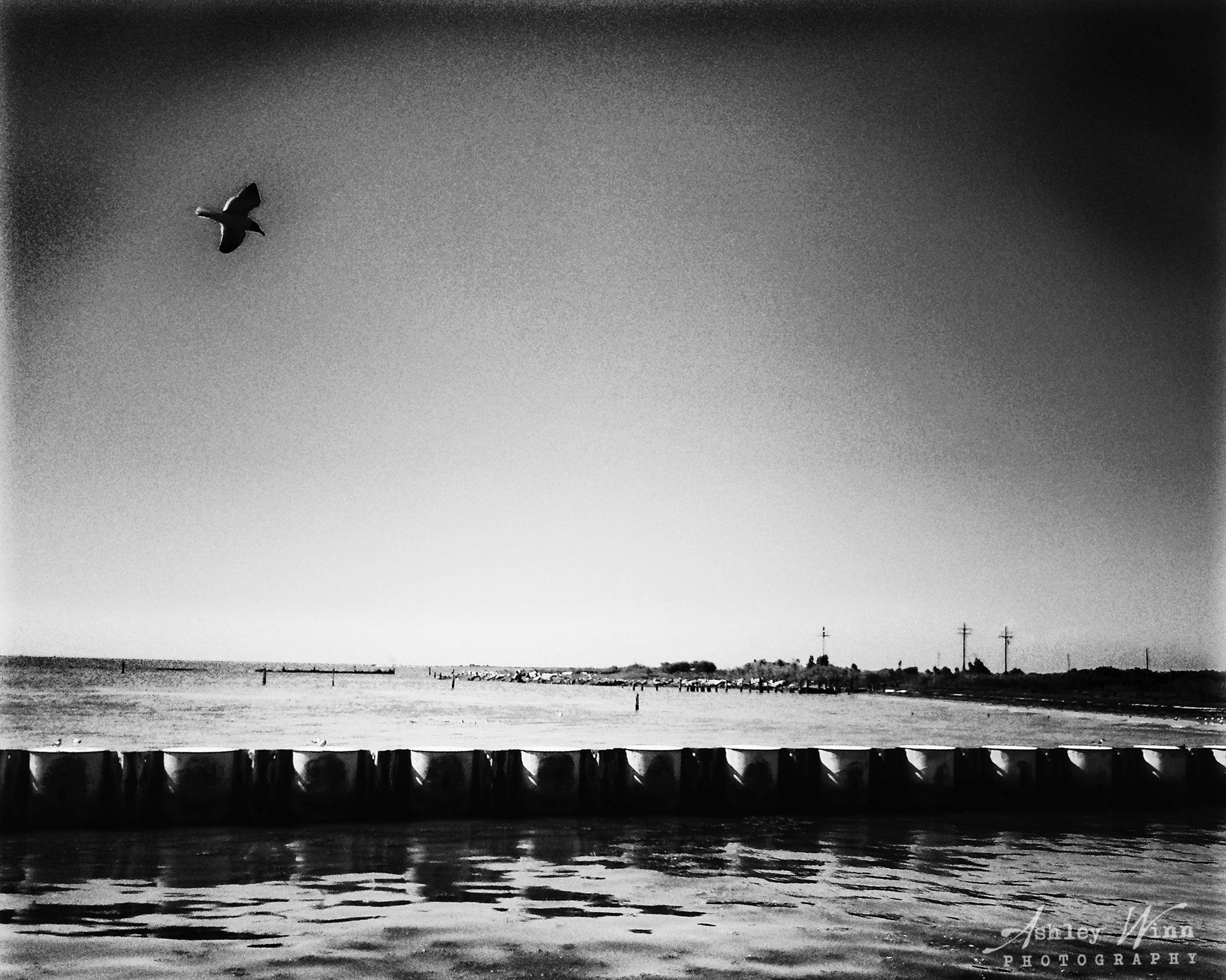 Galveston Black and White