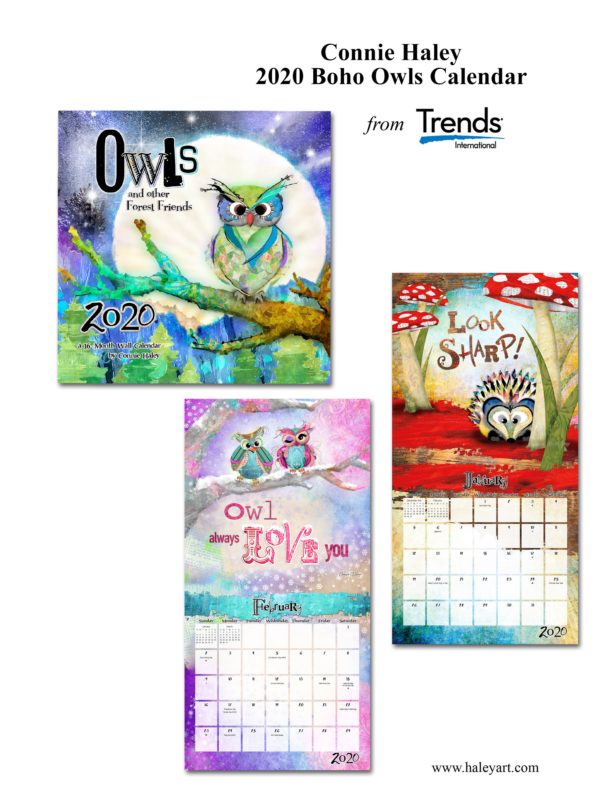 Trends 2020 Owls Calendar